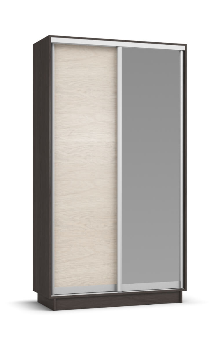 Шкаф-купе РИМ-120